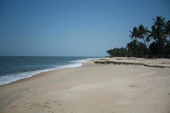 Fool'S Paradise Homestay Alappuzha Dış mekan fotoğraf