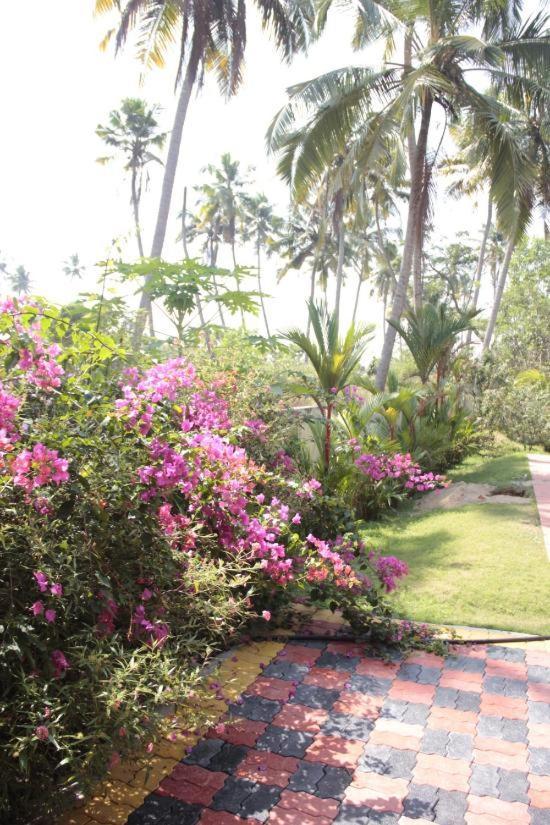 Fool'S Paradise Homestay Alappuzha Dış mekan fotoğraf